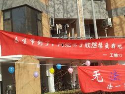 欢迎明星搞笑条幅,欢乐满溢的星光之夜