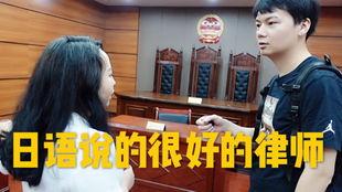 律师日本在线播放,律师专业解读与案例分析