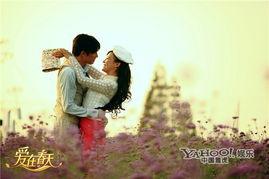 爱在春天全集在线观看