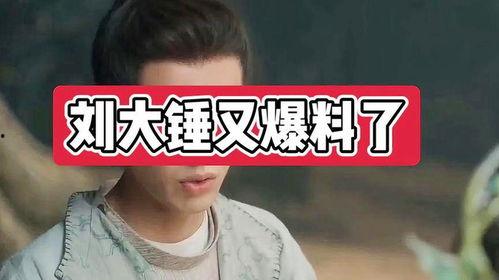 刘大锤爆料真实吗视频,揭秘事件真相，可信度如何？