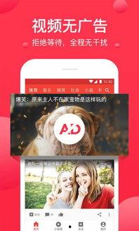 吃瓜视频大爆料合集下载,热门事件幕后真相全解析