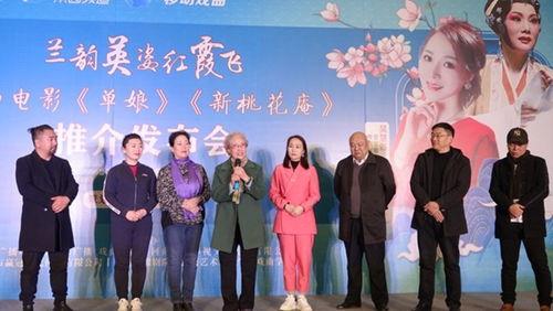 桃花庵视频,探寻古典诗意与禅意生活的交融之美