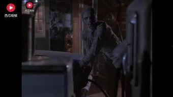 木乃伊加油记在线播放,穿越古埃及的奇幻冒险之旅