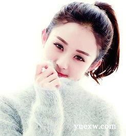 收了明星赵丽颖h小说