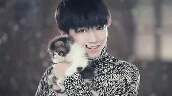 王俊凯失眠爆料视频,揭秘明星背后的睡眠困扰