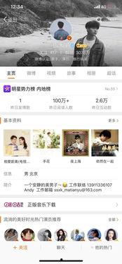 明星定位,揭秘明星定位的艺术与魅力