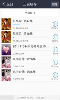 百度视频 种子,揭秘高效视频内容传播的秘密武器