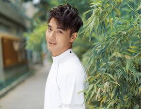 吃瓜娱乐圈cp粉,揭秘明星情侣背后的故事