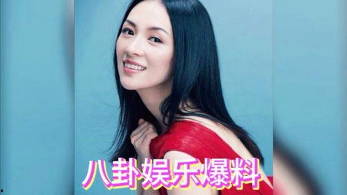娱乐明星吃瓜酱